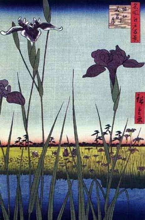 Irises in Horikiri by Ando Hiroshige