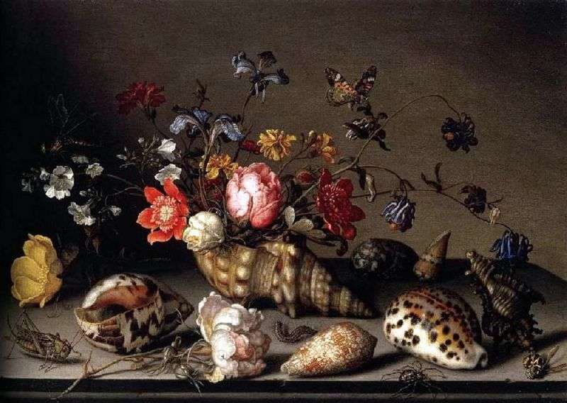 Still life: flowers, shells, and insects by Baltazar van der Ast