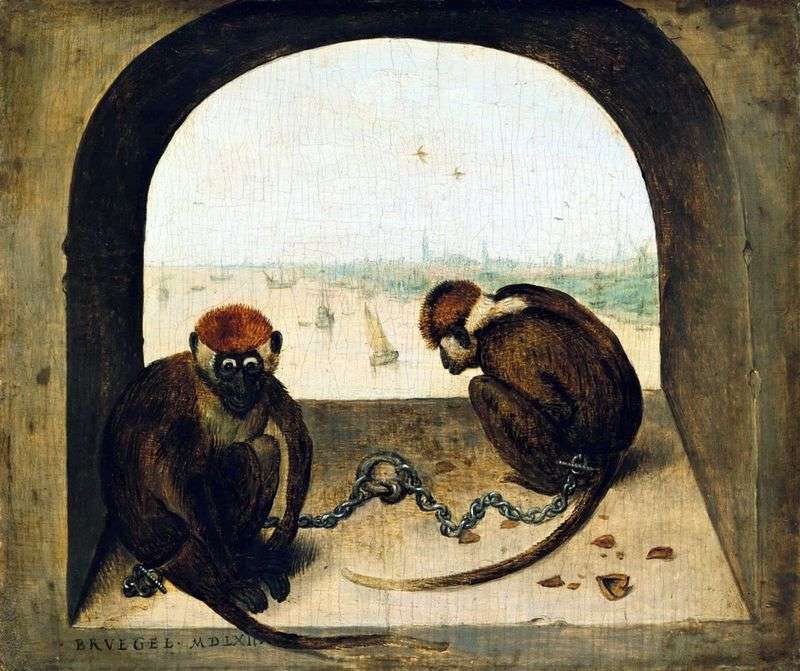 Two monkeys by Peter Brueghel