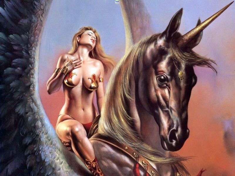 Amazon on the unicorn by Boris Valedjo