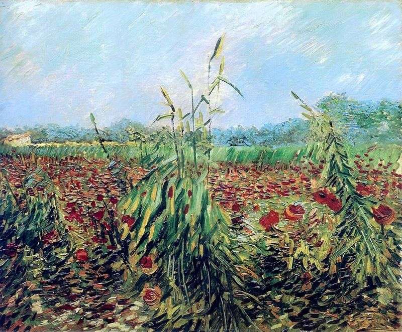 Green wheat ears by Vincent Van Gogh