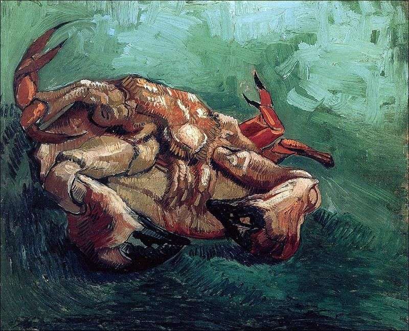 Crab on the back by Vincent Van Gogh