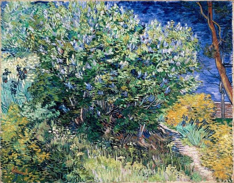 Lilac bush by Vincent Van Gogh