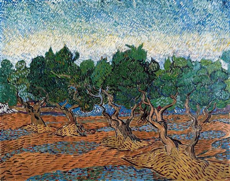 Olive Grove IV by Vincent Van Gogh