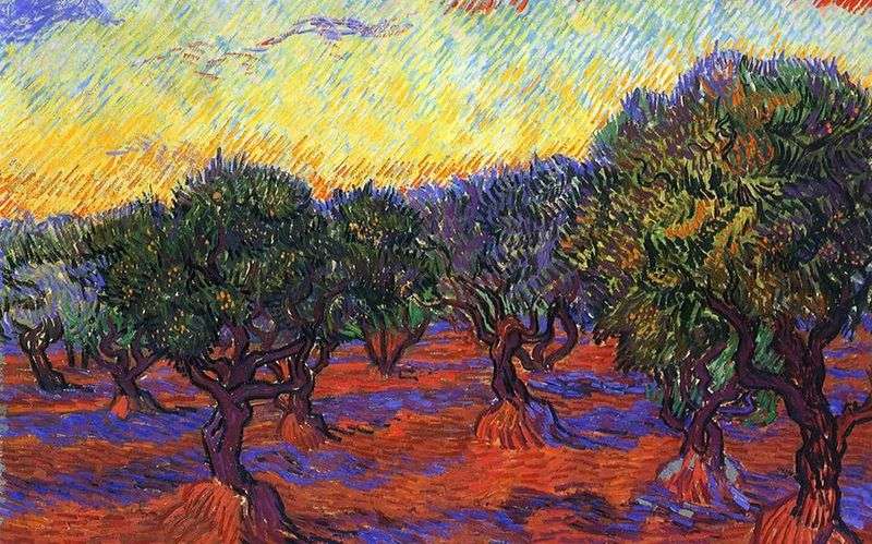 Olive grove: the orange sky by Vincent Van Gogh