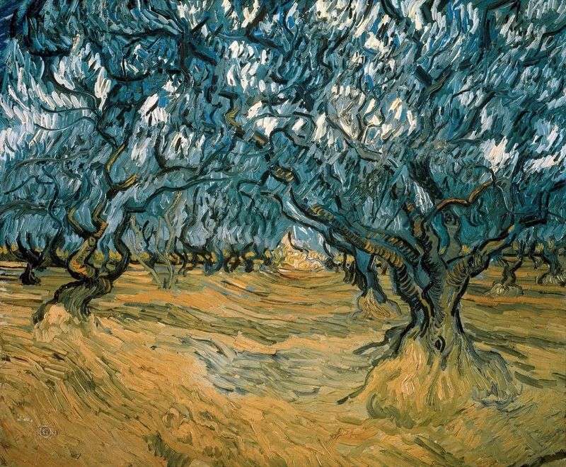 Olive trees by Vincent Van Gogh