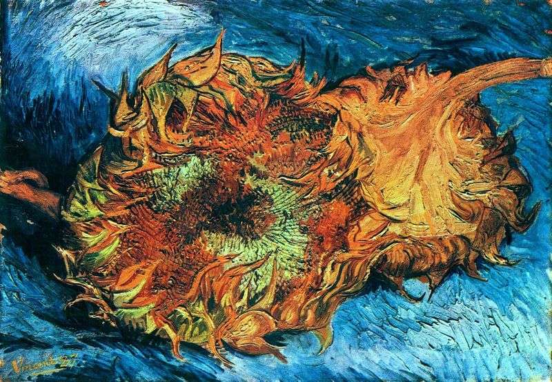 Sunflowers. Two cut sunflowers by Vincent Van Gogh