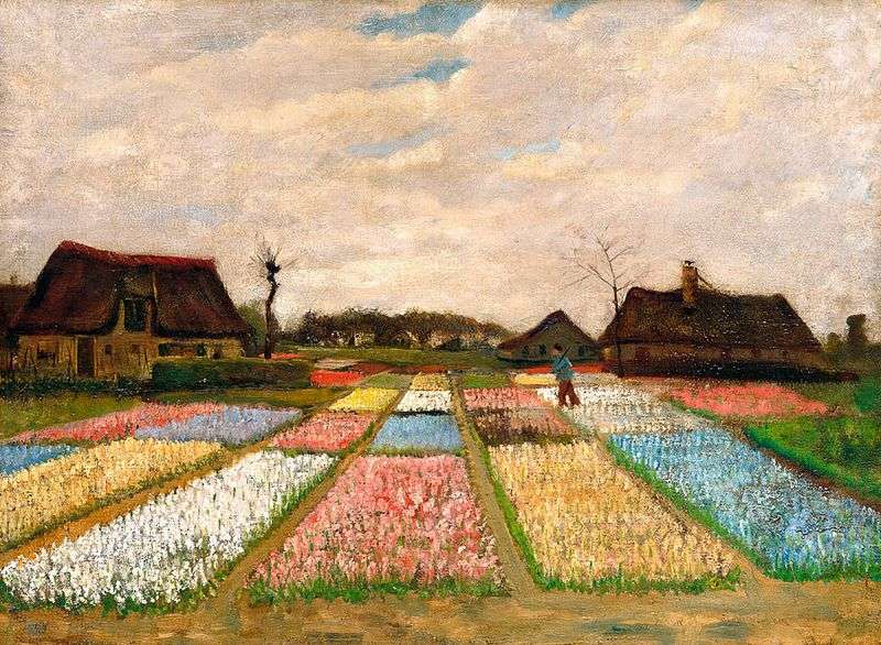 Fields of tulips by Vincent Van Gogh