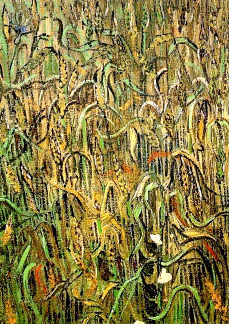 Wheat ears by Vincent Van Gogh