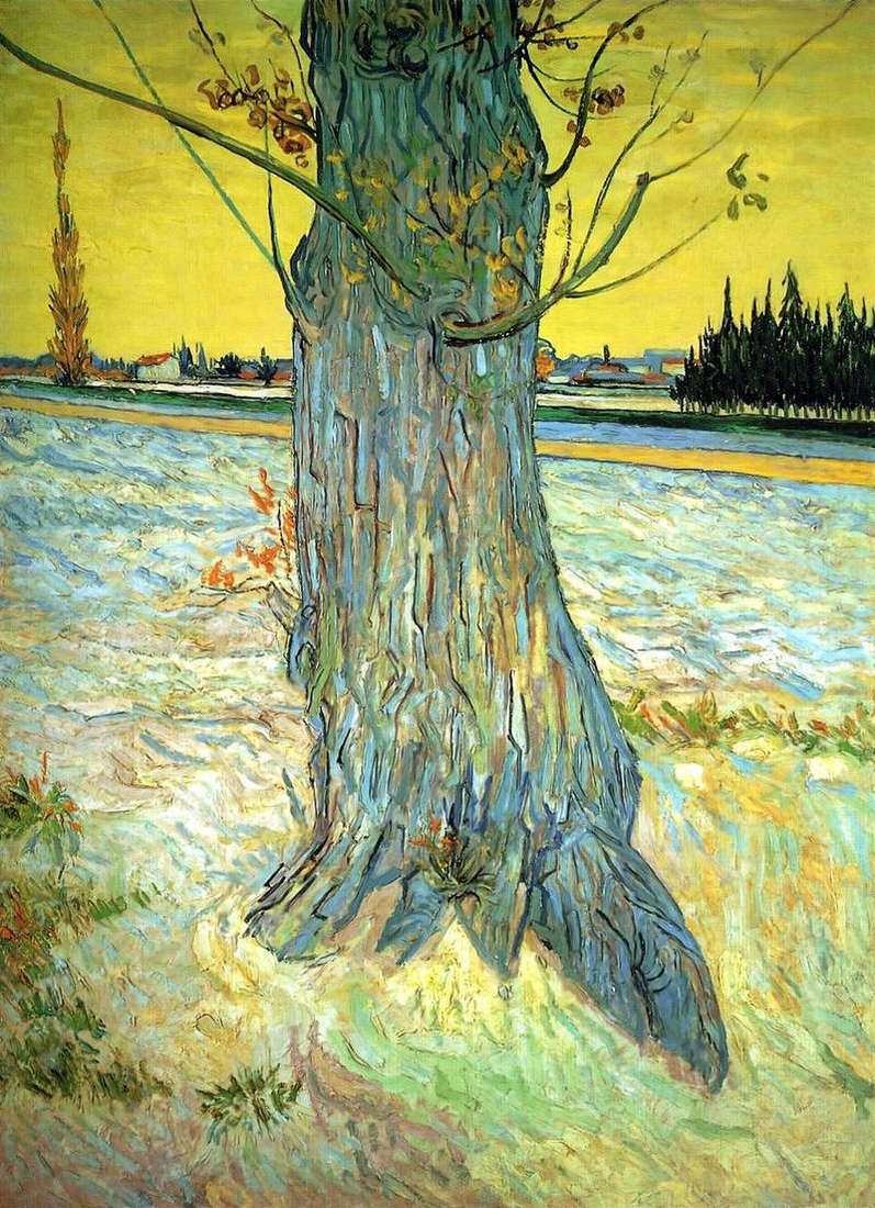 The trunk of the old yew by Vincent Van Gogh