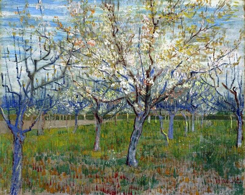 Orchard with flowering apricots by Vincent Van Gogh