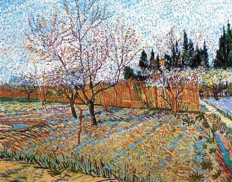 Orchard With Flowering Peaches By Vincent Van Gogh