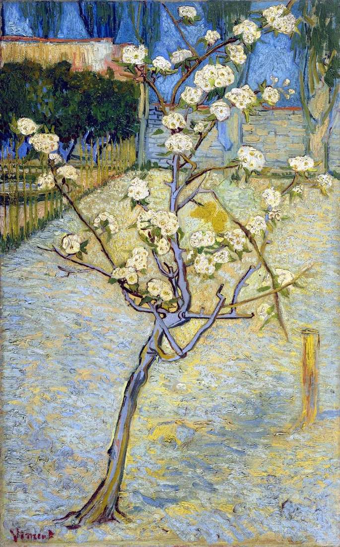 Flowering pear by Vincent Van Gogh