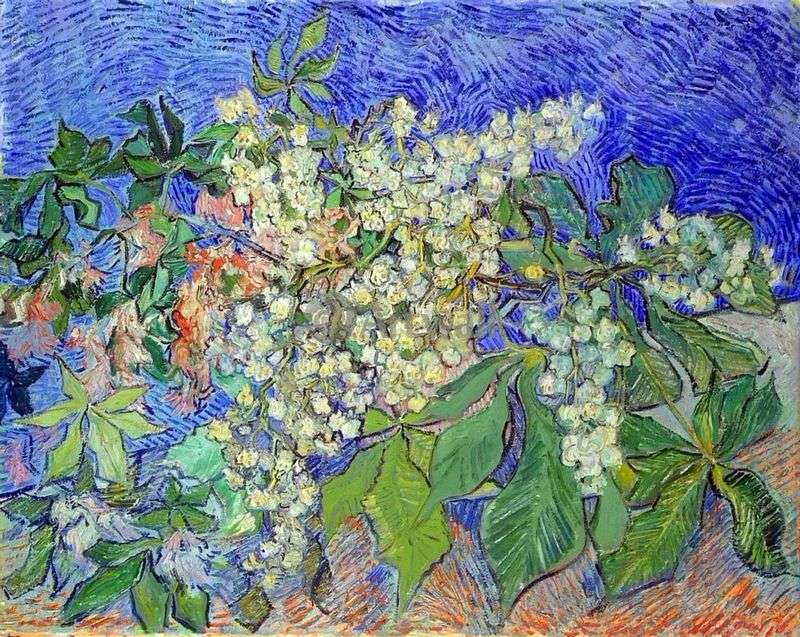 Flowering chestnut branches by Vincent Van Gogh