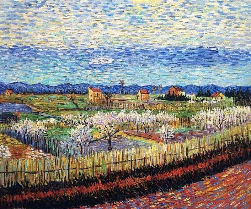 Flowering peach trees by Vincent Van Gogh