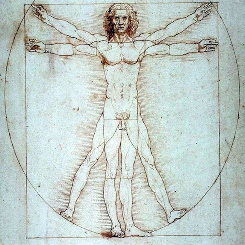 Vitruvian Man by Leonardo da Vinci