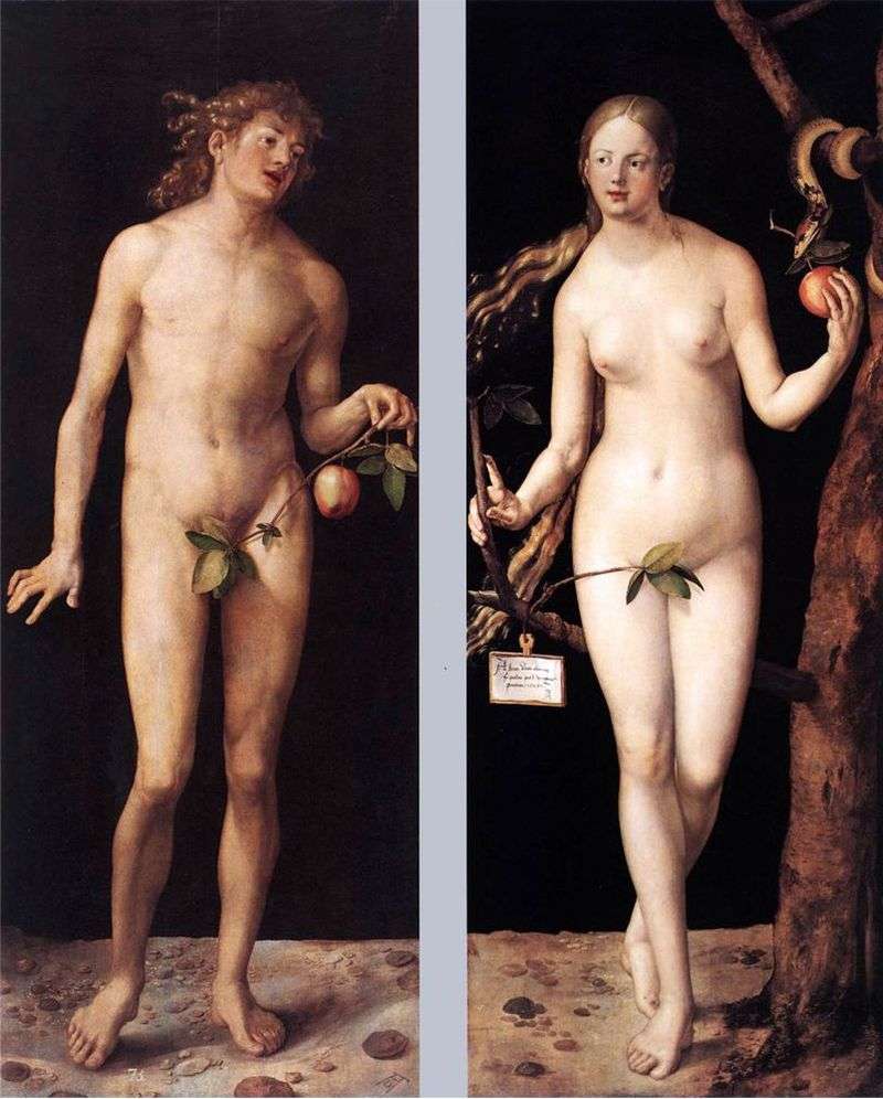 Adam and Eve by Albrecht Durer