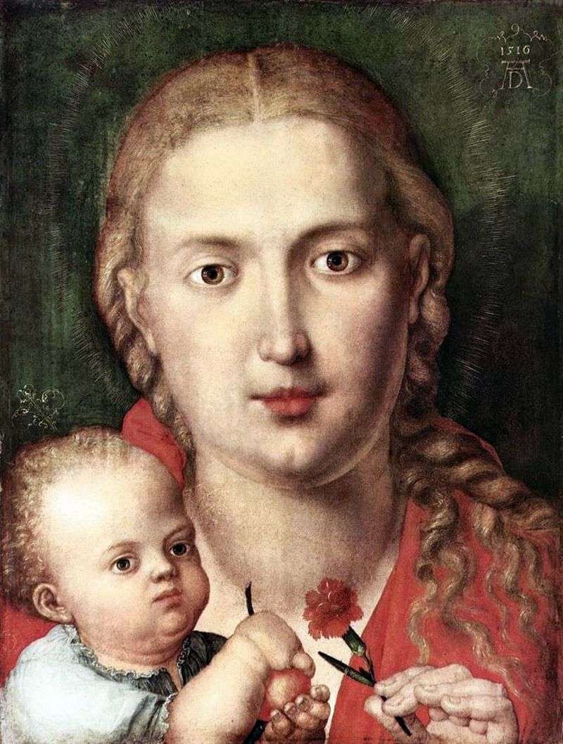 Madonna with a carnation by Albrecht Durer