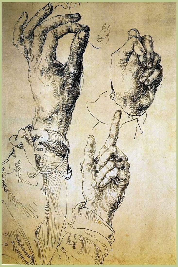 Etude Three Hands by Albrecht Durer