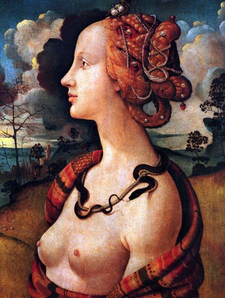 Portrait of Simonetta Vespucci by Piero di Cosimo