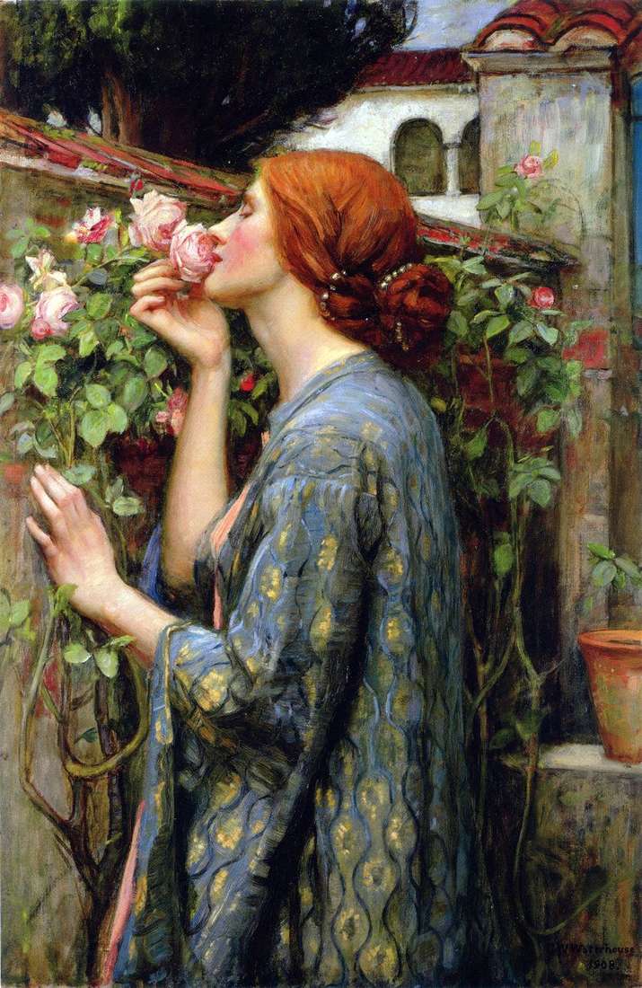 My favorite rose by John Waterhouse