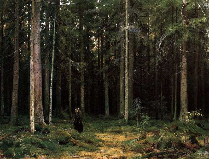 In the forest of Countess Mordvinova. Peterhof by Ivan Shishkin