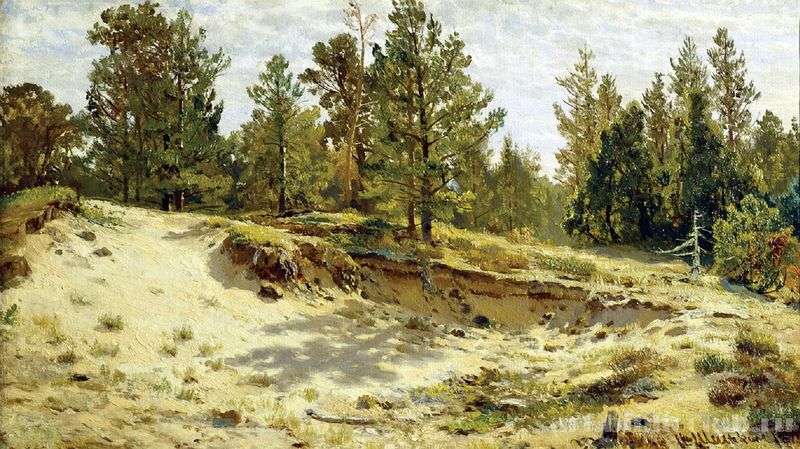 Young pines near the sandy cliff. Meri Khorei on the Finnish railway by Ivan Shishkin