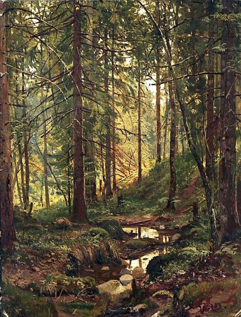 Stream in the forest. Siverskaya by Ivan Shishkin