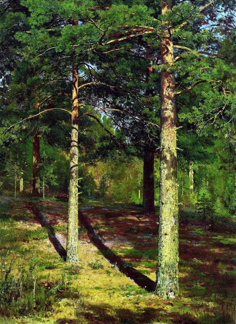 Pines, illuminated by the sun by Ivan Shishkin