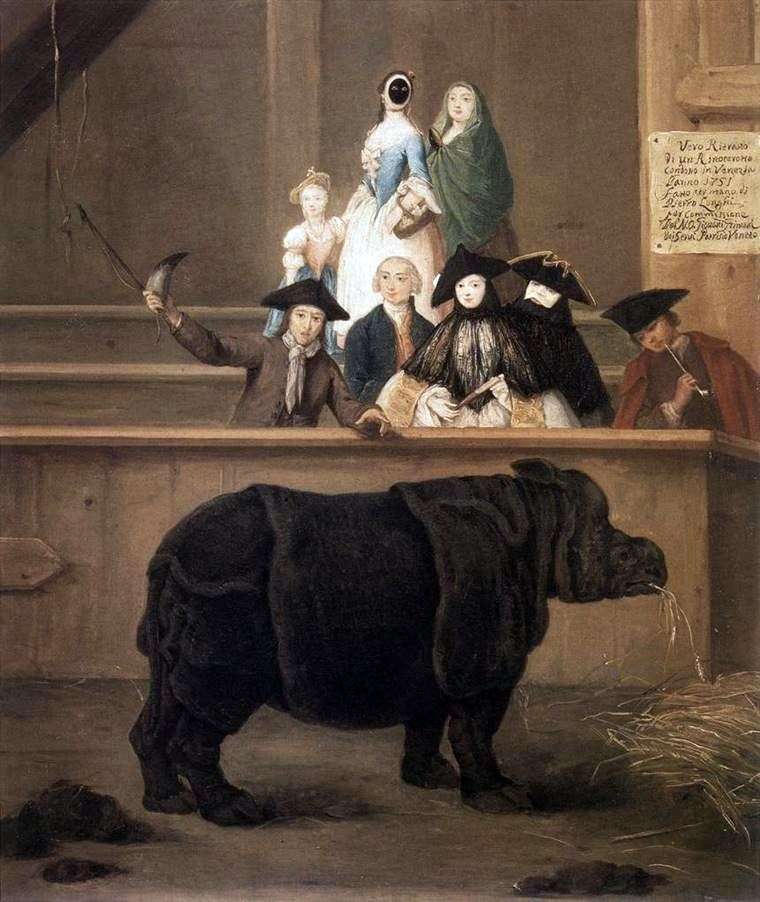 Rhino by Pietro Longhi