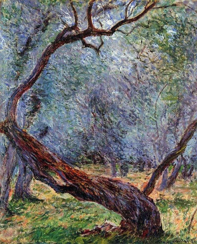 Olive Trees Studio by Claude Monet