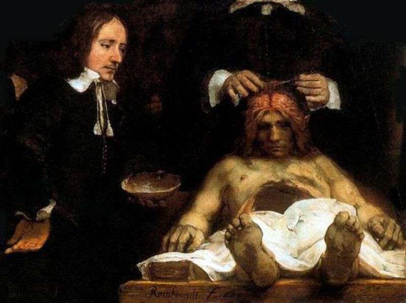 Dr. Deimans Anatomy Lesson by Rembrandt Harmens Van Rhine
