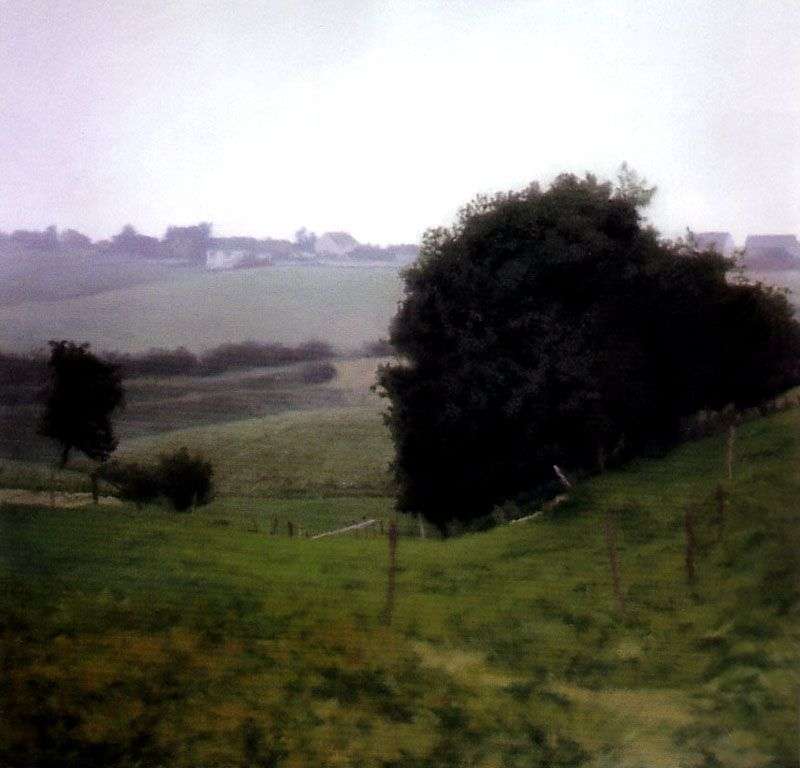 Country of Meadows by Gerhard Richter