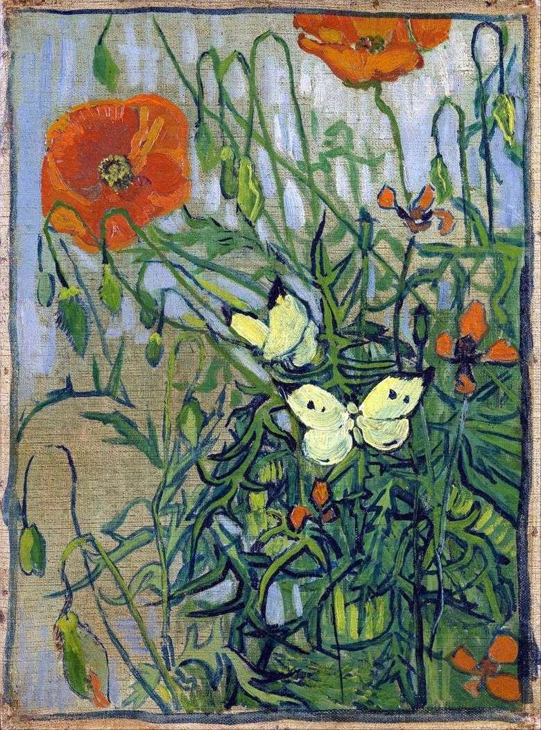 Amapolas y mariposas   Vincent van Gogh