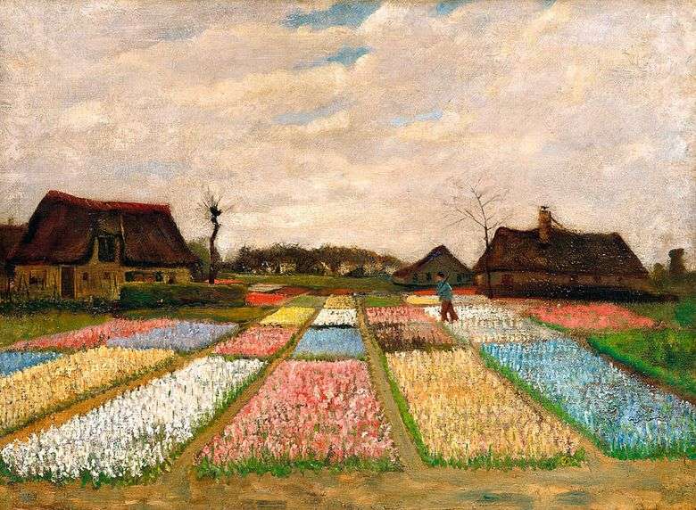 Campos de tulipanes   Vincent van Gogh