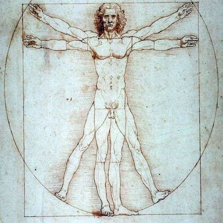 Hombre de Vitruvio   Leonardo da Vinci