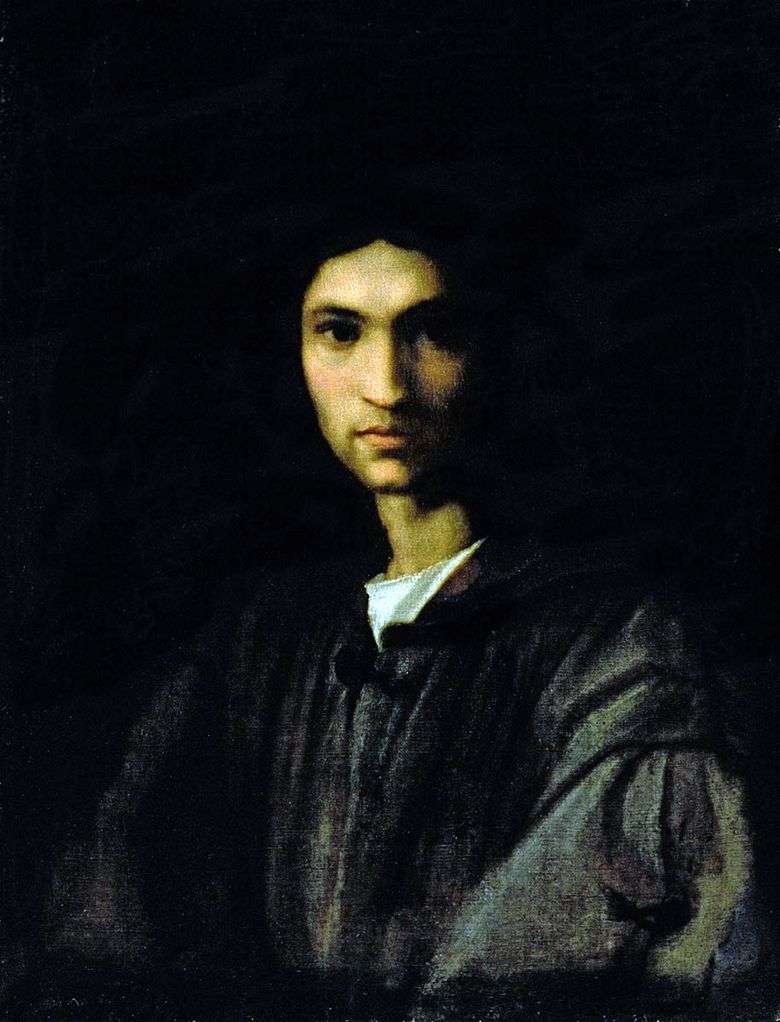 Retrato de un joven   Andrea del Sarto