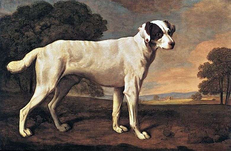 Retrato de un perro en Gatton Park   George Stubbs