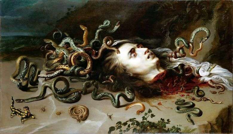 Jefe de la Medusa Gorgona   Peter Rubens
