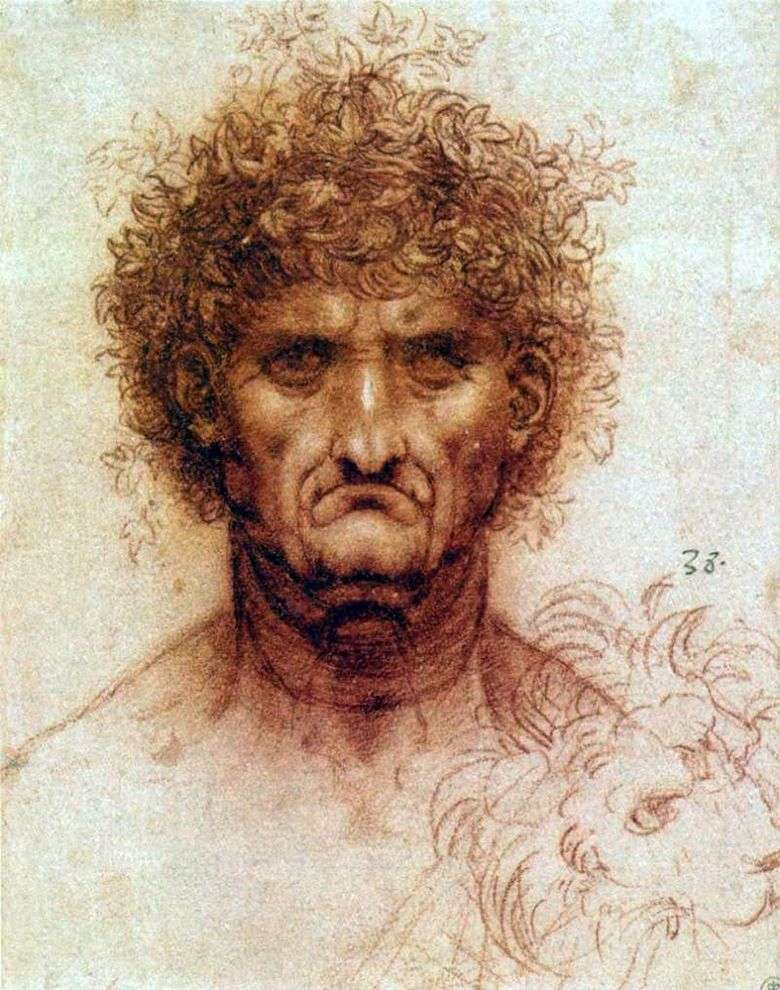 La cabeza de un hombre y un león   Leonardo da Vinci