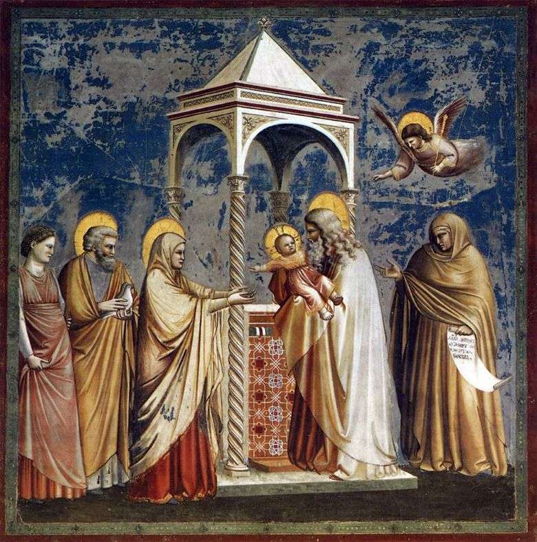 La presentación del Señor   Giotto