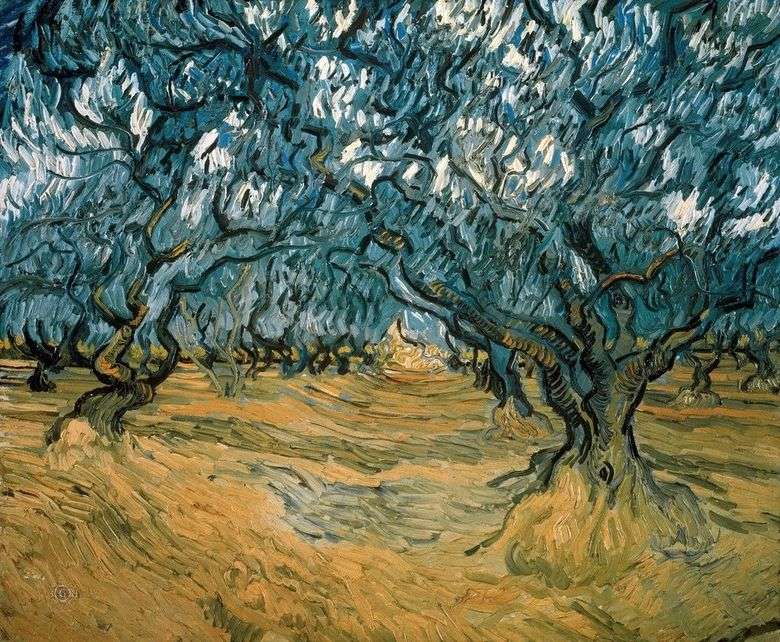 Los olivos   Vincent van Gogh
