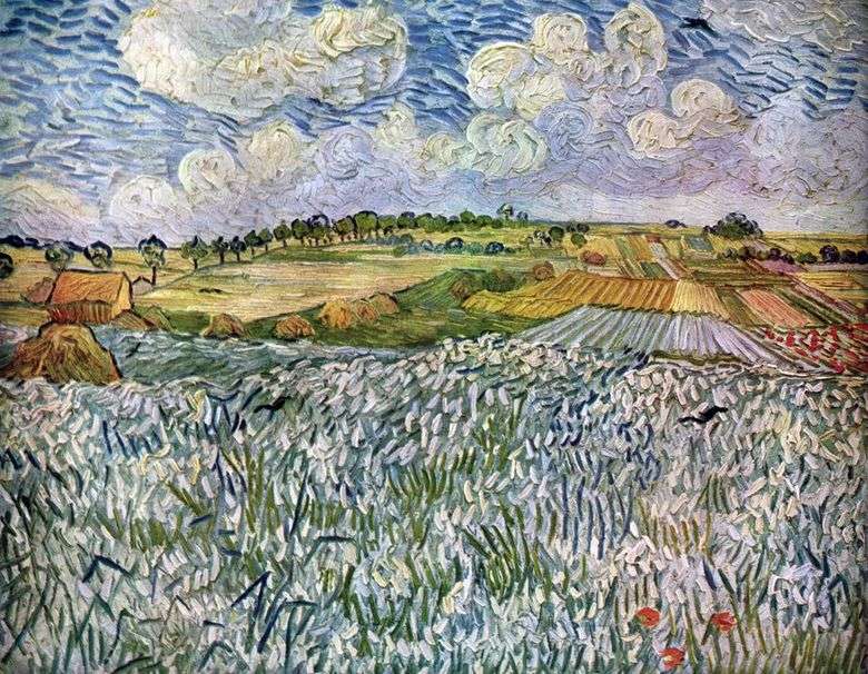 Paisaje cerca de Auver: Campos de trigo   Vincent van Gogh