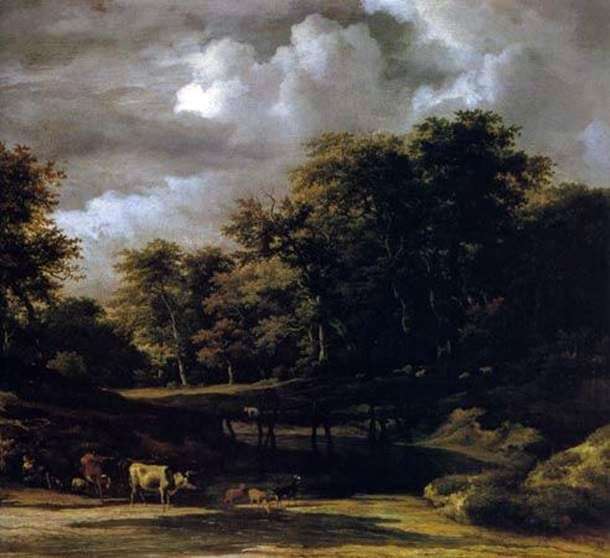 Paisaje del bosque   Jacob van Ruisdal