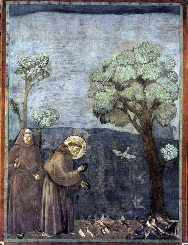 Predicando a los pájaros   Giotto
