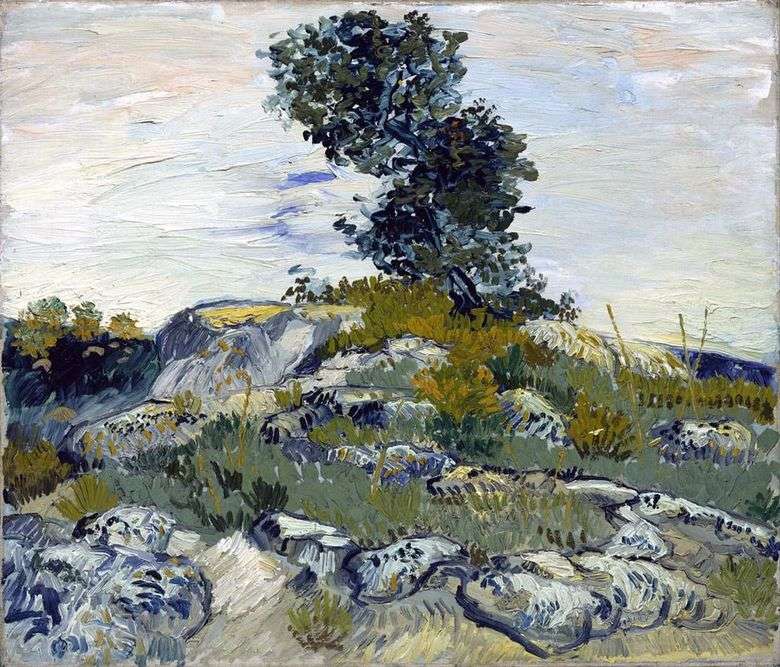Rocas y roble   Vincent van Gogh