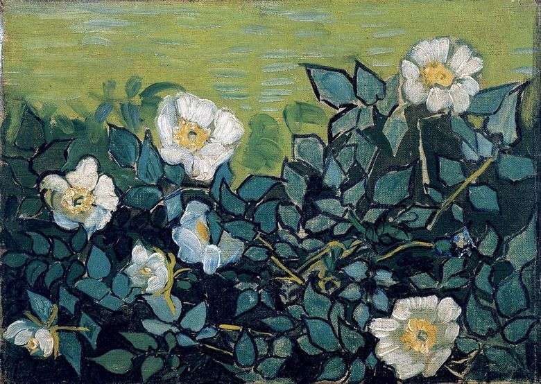 Rosas silvestres   Vincent van Gogh