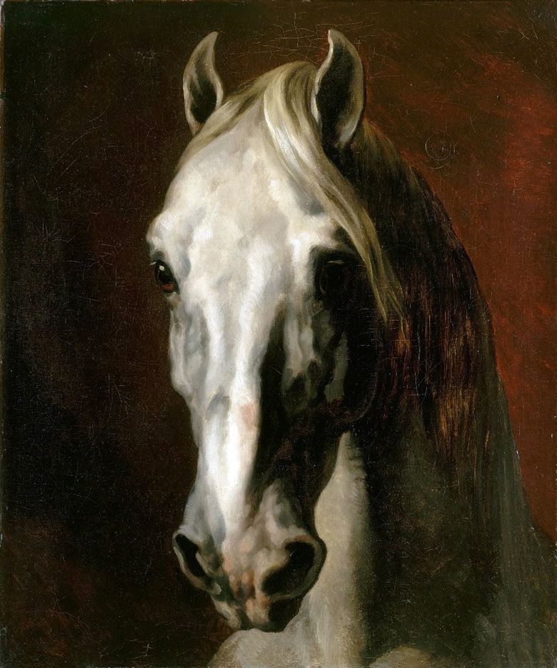 La tête dun cheval blanc   Theodore Gericault