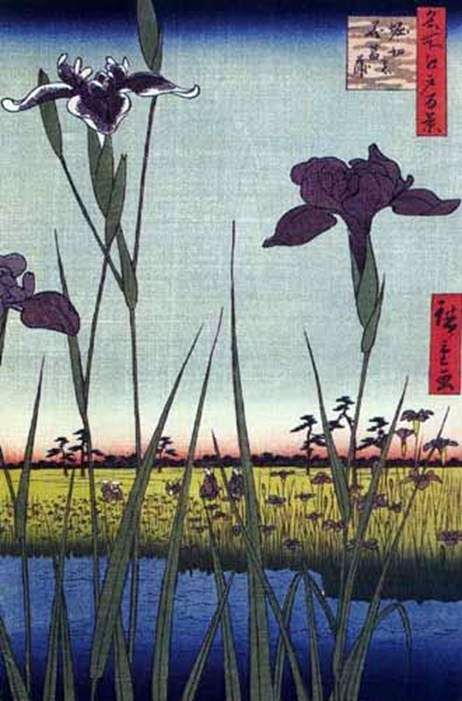 Iris à Horikiri   Ando Hiroshige