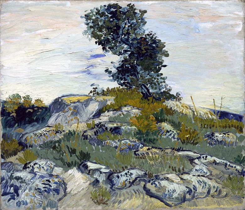 Rochers et chêne   Vincent Van Gogh